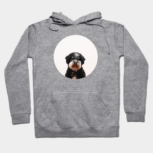 Buster the Havanese Dog Hoodie by Vin Zzep